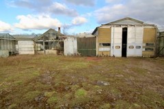 Tuinbouwbedrijf Achterdiep NZ Sappemeer foto 4.jpeg